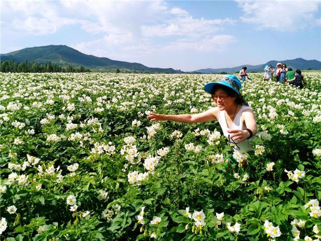 农文旅融合为乡村振兴注入新动力