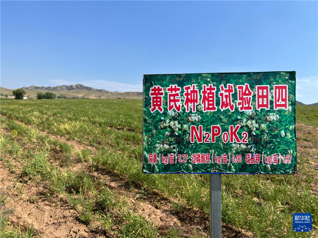 内蒙古固阳县：乡村振兴“药”有良方