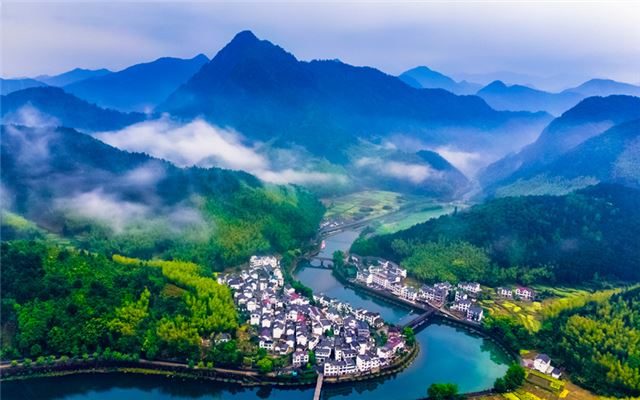 下姜风光。夏利新摄