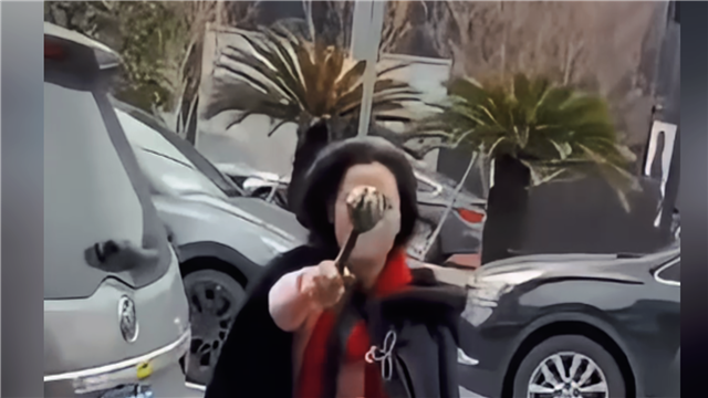 何赛飞女侠重拳整治代拍届
