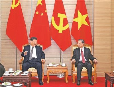 习近平同越共中央总书记苏林话别